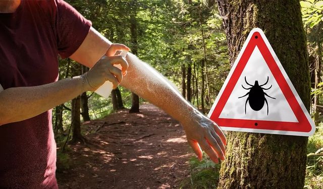 Doğada güvende kalmanın en etkili yolu: Keneler bu kokuya dayanamıyor!