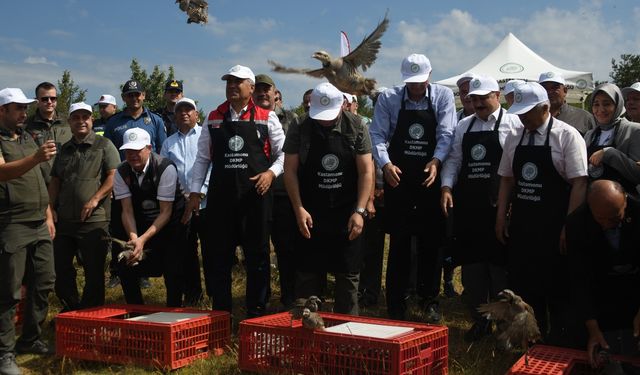 Vurulmazlar inşallah! Kastamonu’da doğaya 2 bin 100 kınalı keklik salındı (görüntülü haber)