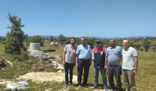 Kastamonu’da hayvancılığa can suyu geldi