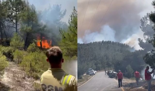Kastamonu’nun ateş savaşçıları Sakarya’da görev başında