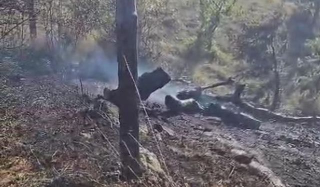 Kastamonu'nun ilçesinde orman yangını paniği!