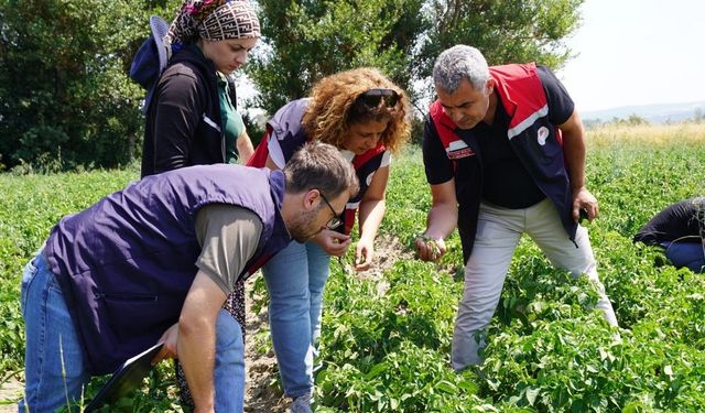 Kastamonu’nun ilçesinde tarım yatırımları yerinde incelendi
