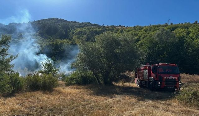Kastamonu'nun en fazla turist çeken ilçesinde orman yangını çıktı!