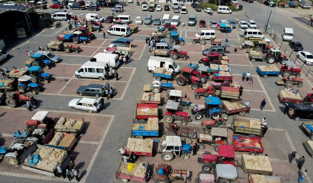Taşköprü Sarımsak Pazarı yüzde 100 dolulukla rekor kırdı