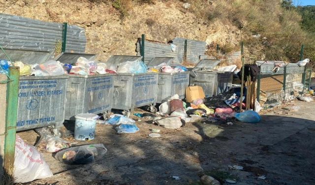 Kastamonu’nun tatil bölgesine yakışmayan görüntüler: Sorun büyüyor!