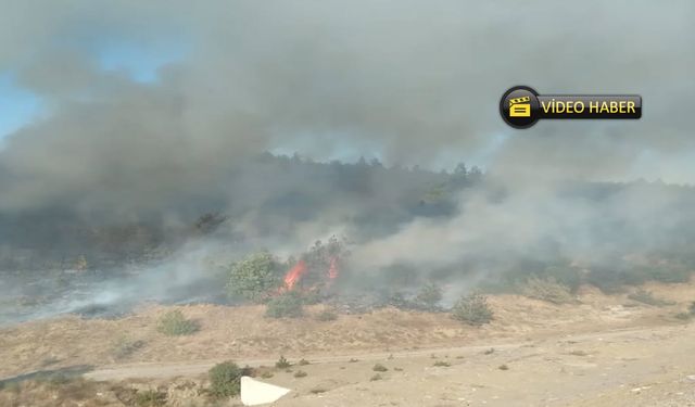 Son dakika: Kastamonu’da orman yangını çıktı