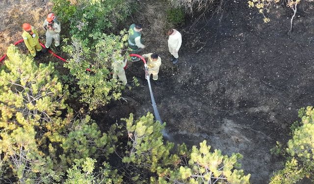 Daday'da facia önlendi: Kontrol altına alındı