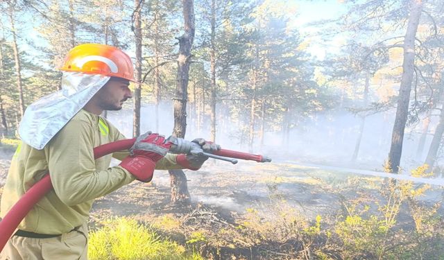 Kastamonu ile Bolu omuz omuza: Birlikte söndürdüler! (görüntülü haber)