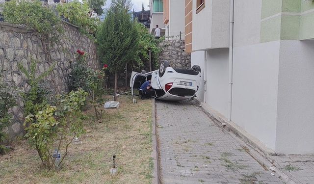 Yaşam