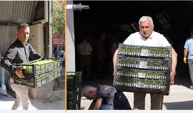 Kastamonu’da kasa kasa alıp gittiler!