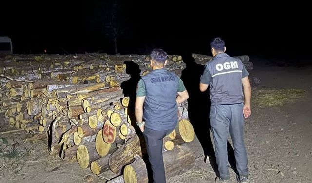 Kastamonu ormanlarında gece mesaisi devam ediyor