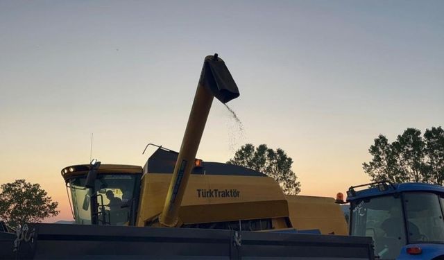 Kastamonu’da Çölyak Dostu Karabuğday Hasadı Başladı