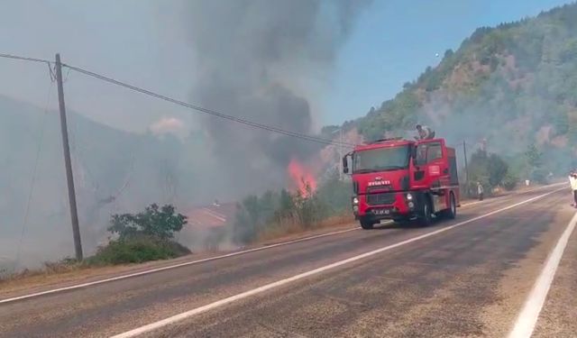 Kastamonu'da tarlada çıkan yangın samanlığı küle çevirdi!