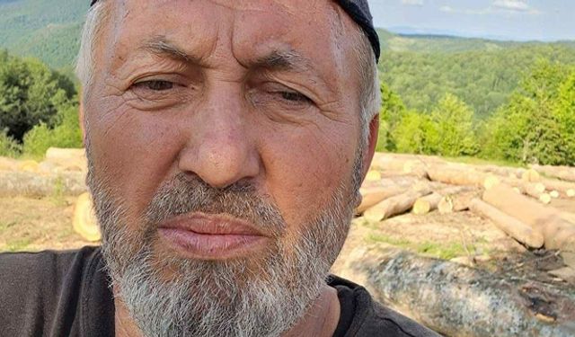 Kastamonu sahasında ayağına tomruk düştü, kalp krizi geçirip öldü