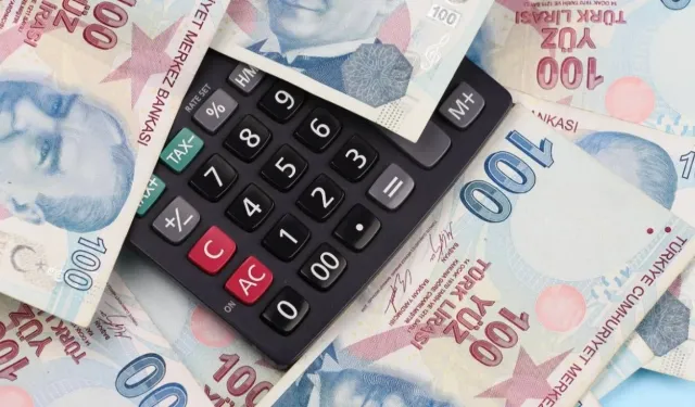 Mevduat Sahipleri Dikkat! 500, 750 Bin ve 1 Milyon TL Mevduatın Aylık Getirisi Ne Kadar?