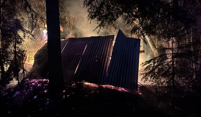 Son dakika: Kastamonu'da türbede çıkan yangın ormana yayıldı! (Detaylar)