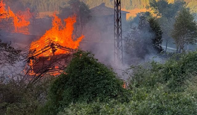 Son dakika: Kastamonu'nun ilçesindeki feci yangın iki samanlığı küle çevirdi!