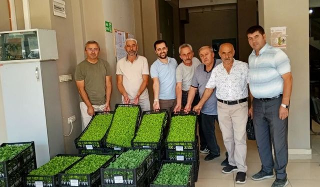 Kastamonu’nun ilçesinde üreticilere fide desteği sağlandı