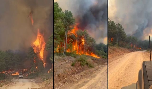 Gönüllüler Sahada: Araç’taki Yangına Offroad Araçlarıyla Destek