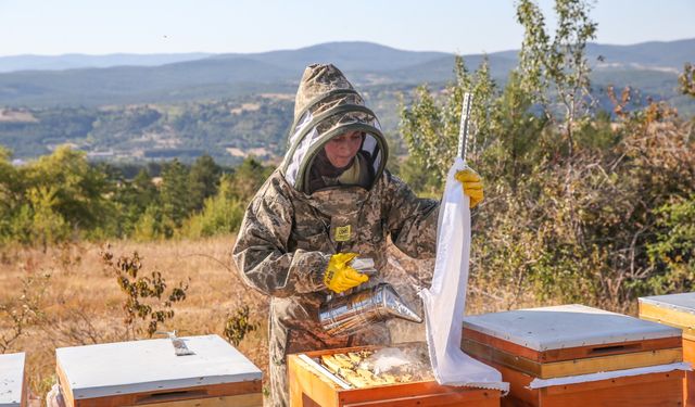 Arıları için her hafta İstanbul'dan Kastamonu'ya geliyor!
