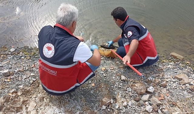 Kastamonu’da balık ölümleri nedeniyle inceleme başlatıldı