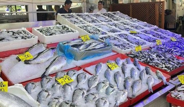 Balık sezonu açıldı: Taşköprü’de tezgahlar çeşit çeşit balıklarla doldu