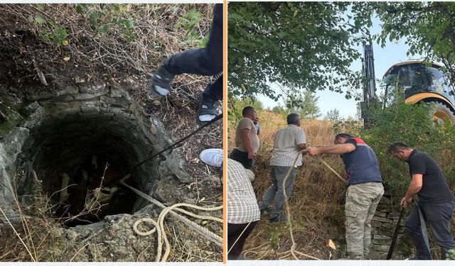 Kastamonu’da İnek Su Kuyusuna Düştü: Ekipler Seferber Oldu
