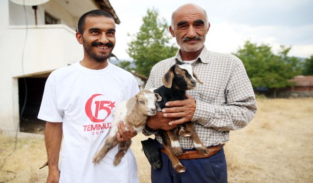 Kastamonu’da Yürek Burkan Yangın: Aile, Yavru Oğlaklarını 9 Kilometre Kucağında Taşıdı