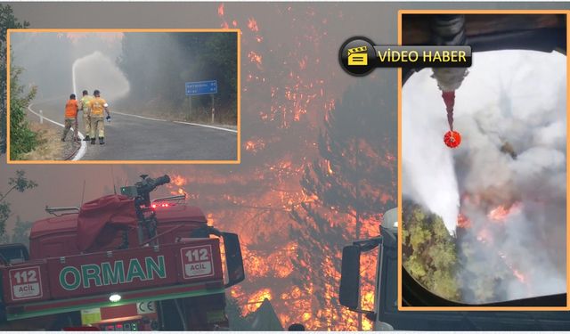 Kastamonu ve Karabük’teki Orman Yangınlarına Havadan ve Karadan Müdahale