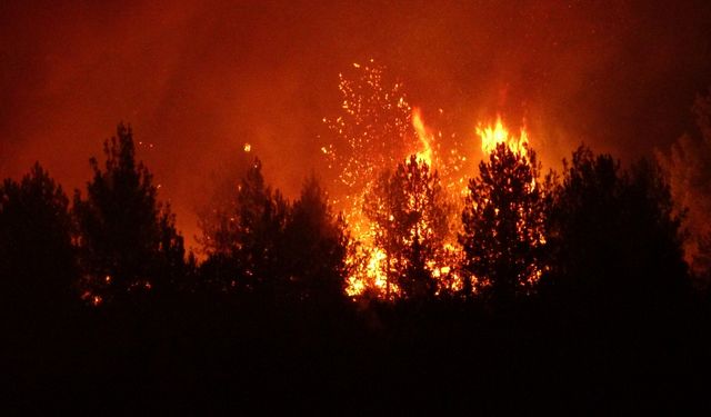 Kastamonu-Karabük sınırındaki feci yangınlara müdahale ediliyor