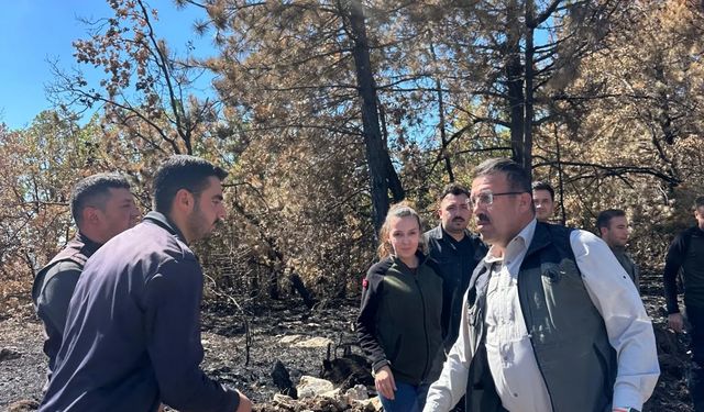 Kastamonu Orman Bölge Müdürü'nden ekiplere övgü!