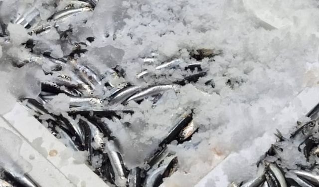 Kastamonu sahilinde denetimler yoğunlaştı