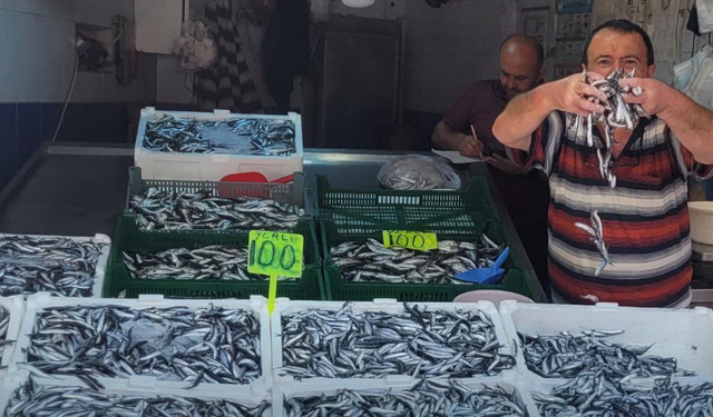 Kastamonu sahilinde hamsi 100 TL'den satışta!