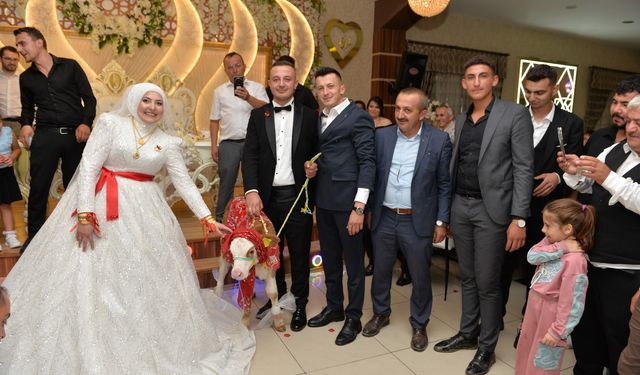 Kastamonu'da gelin ve damada 3 aylık buzağı hediye edildi