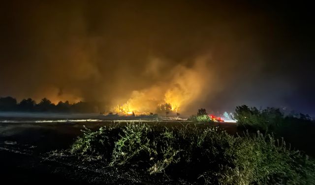 Kastamonu'daki feci orman yangını Safranbolu köylerinin sınırına dayandı