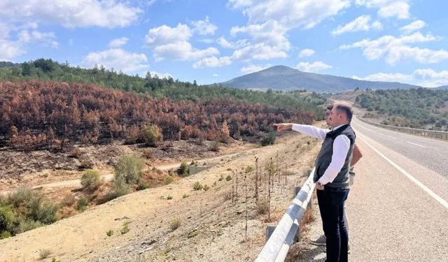 Kastamonu’daki yangın alanları fidanlarla yeniden hayat bulacak