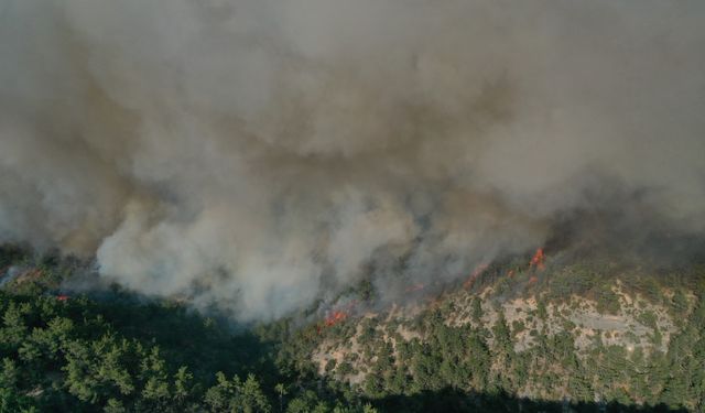 Kuvvetli rüzgar enerjisini artırdı: Kastamonu'daki feci orman yangını sürüyor