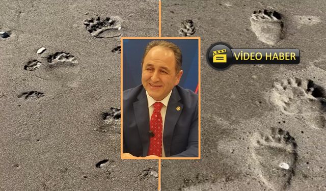 Kastamonu’nun eski milletvekiline sahilde ayı sürprizi