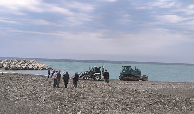 Son dakika: Kastamonu'da güneşlenen kadını ezen operatör tahliye edildi!