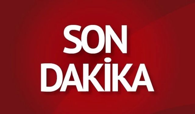 Son dakika: Taşköprü yolunda 3 hayvan telef oldu