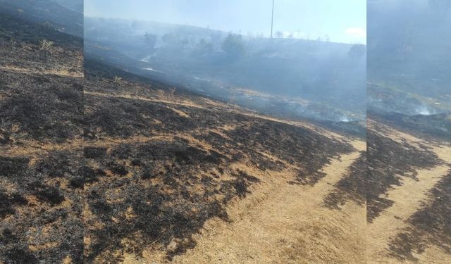 Son Dakika: Taşköprü’de Çıkan Yangın Kontrol Altına Alındı