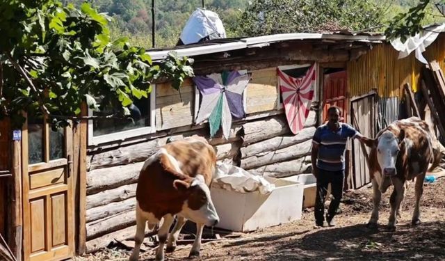 Süt Üreticilerine Müjde! Kastamonu’da 12 Aileye Hibe Destekli 4 Milyon TL Yatırım