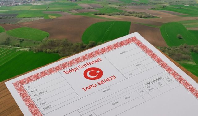 Gündem Haberleri
