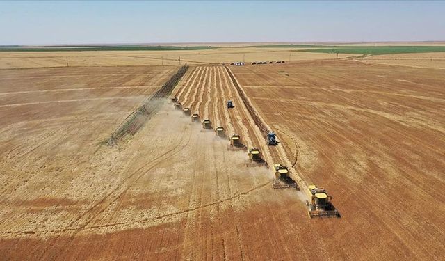 Tarımda yeni dönem: İşlenmeyen araziler sezonluk kiraya açıldı