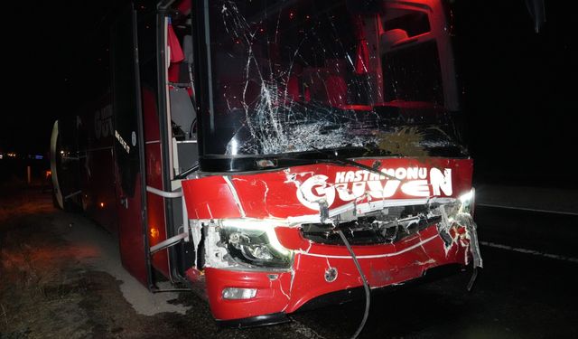 Taşköprü yolunda 3 hayvanın telef olduğu kazada detaylar belli oldu
