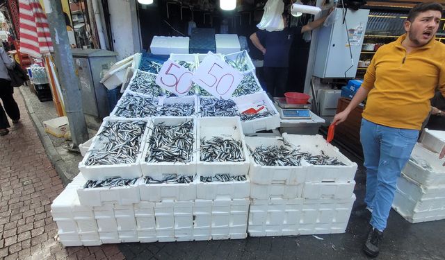 50 liraya kadar düştü, Kastamonu hamsiye doyacak!