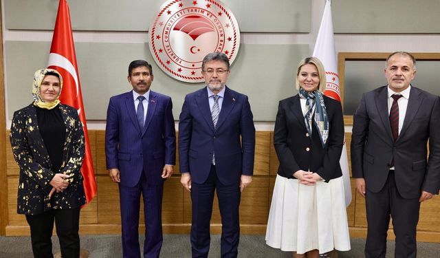 Kastamonu Merkez Haberleri