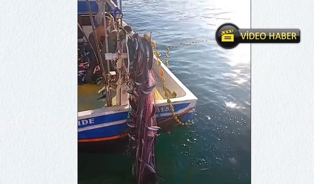 Kastamonu’da Balıkçılardan Palamut Bereketi: 3 Bin Palamut Avlandı (görüntülü haber)