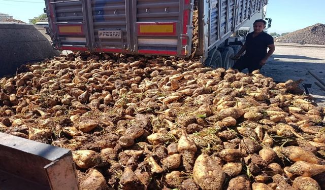 Şekerin tadı kaçtı: Bakanlık harekete geçti