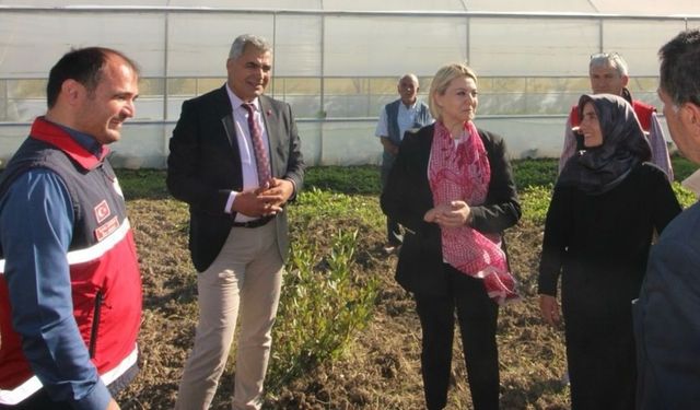 Hanönü’de Modern Sera Üretimi İncelendi